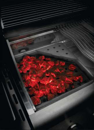 Napoleon Cast Iron Charcoal and Smoker Tray 67732