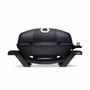 Napoleon TravelQ™ PRO285E