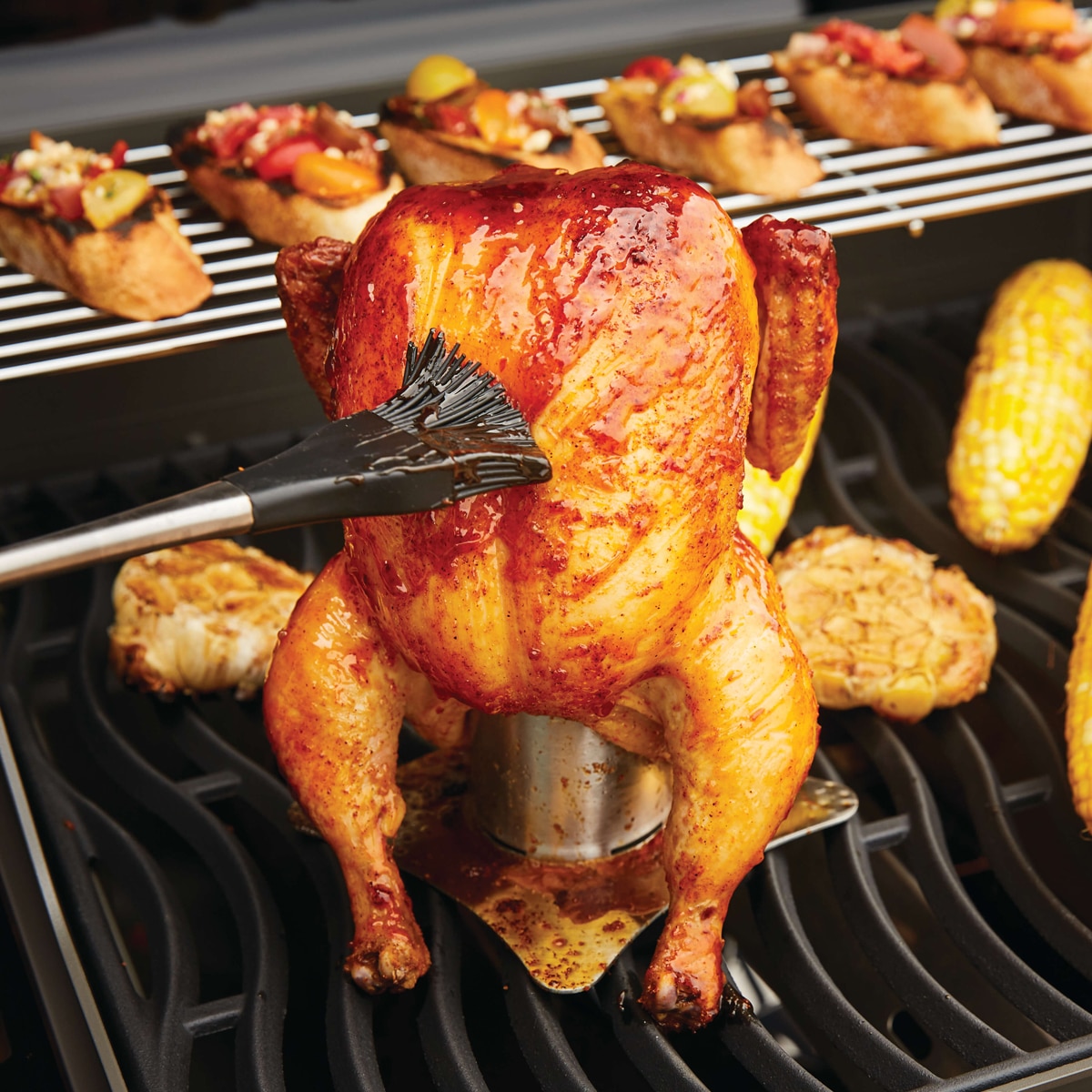 Napoleon Chicken Roaster 56034
