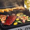 Napoleon Freestyle 365 BBQ Grill with Range Side Burner F365SBPGT-RC