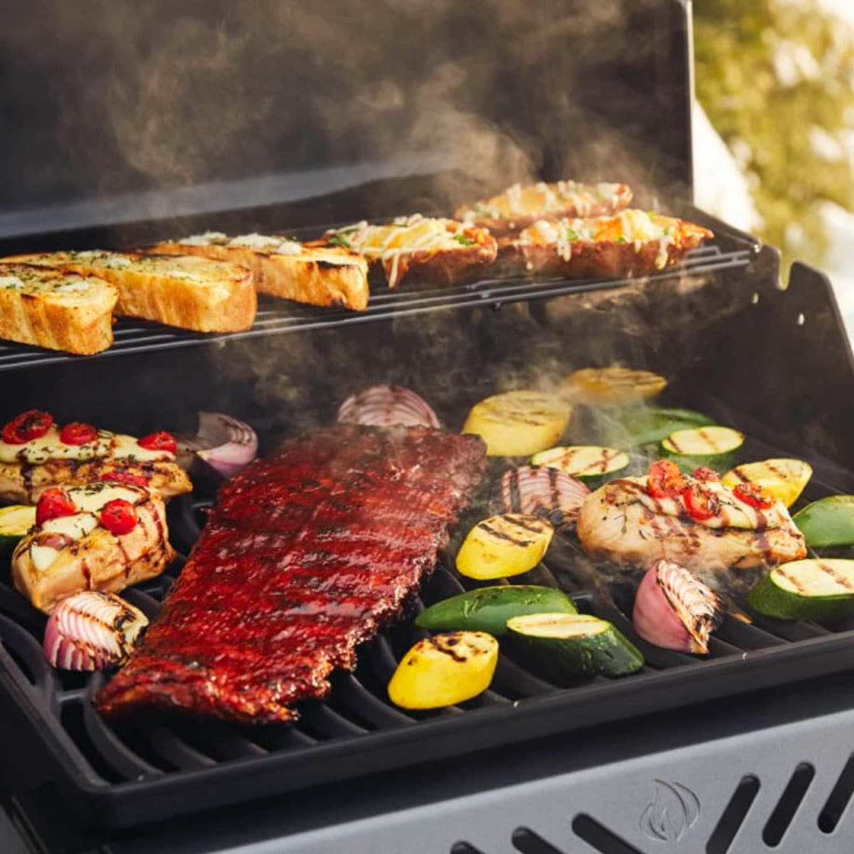 Napoleon Freestyle 365 BBQ Grill with Range Side Burner F365SBPGT-RC
