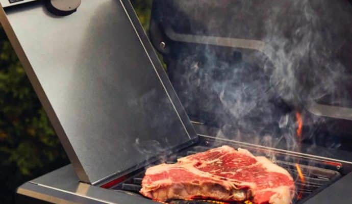 Napoleon Freestyle 425 Gas BBQ Grill with Infrared Side Burner F425SIBPGT-RC