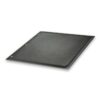 Napoleon PRO 500, Prestige® 500 & LEX Series Cast Iron Reversible Griddle 56040